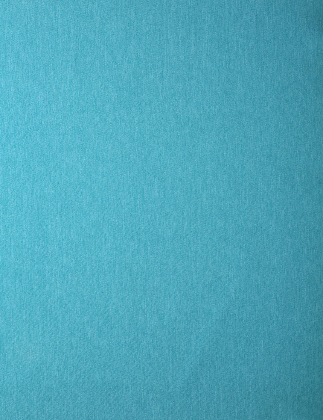 Rideau Assombrissant avec Oeillets Éclipse 54"x 95"